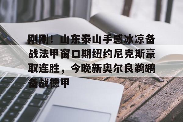 官网登录入口刚刚！山东泰山手感冰凉备战法甲窗口期纽约尼克斯豪取连胜，今晚新奥尔良鹈鹕备战德甲(今日尼克斯鹰击步行者)